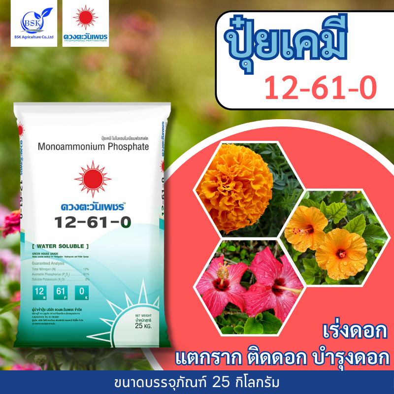 แม่ปุ๋ย 12-61-0 กระสอบ 25Kg (ดวงตะวันเพชร)