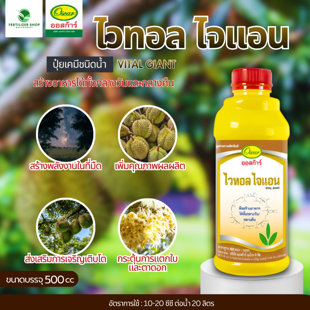 ไวทอล ไจแอน (ขนาด 500 ซีซี) ออสก้าร์