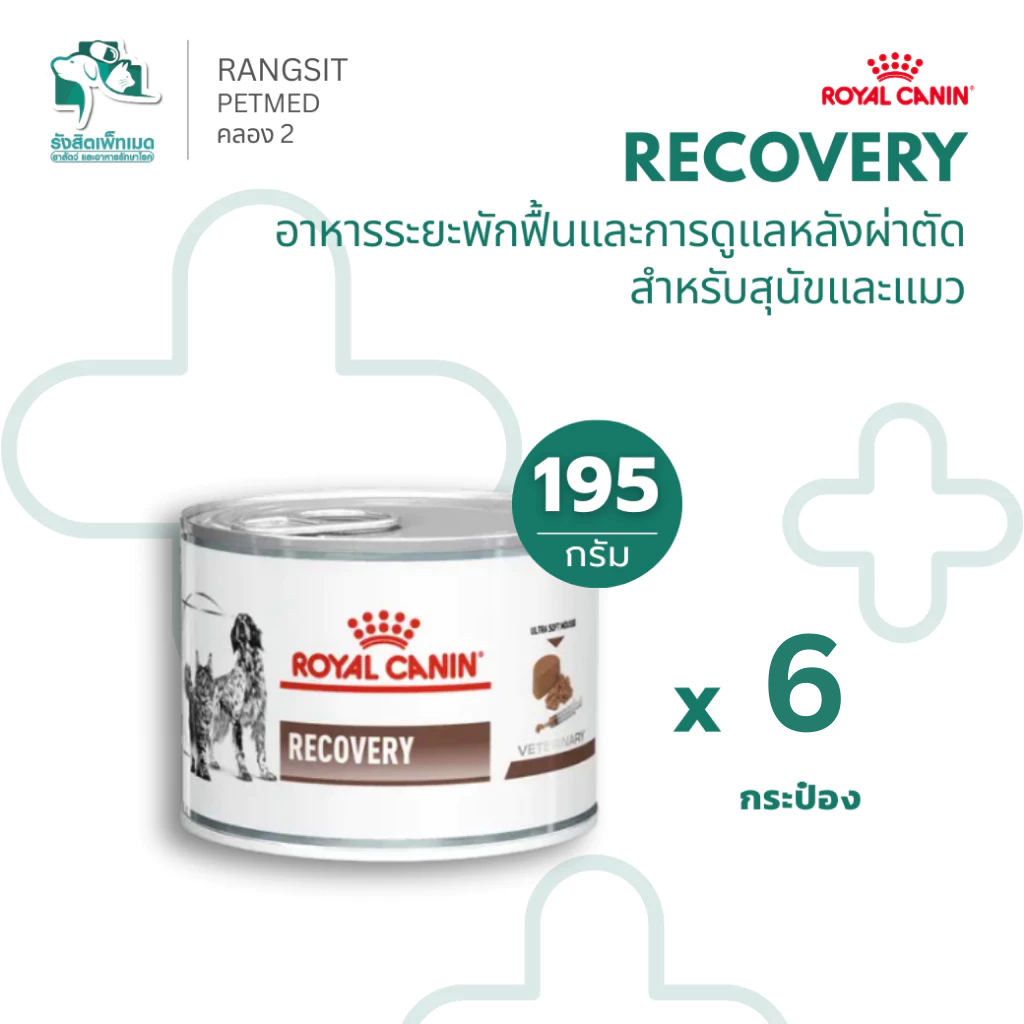 Royal Canin Recovery CAN สำหรับสุนัขและแมว ระยะพักฟื้น หลังผ่าตัด 195g