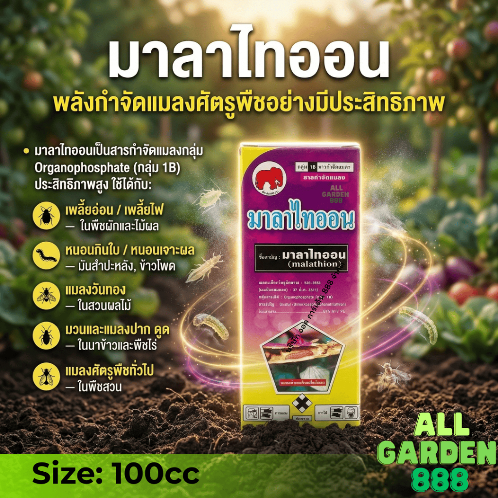 มาลาไทออน ตราช้างไทออน สารกำจัดแมลง ฆ่าเพลี้ย หนอน แมลงวันทอง มวน  100cc