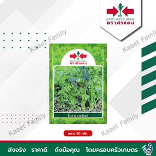 ขึ้นฉ่าย นวลจันทร์ บรรจุ 50 กรัม / 350 กรัม เมล็ดขึ้นฉ่าย ตร…