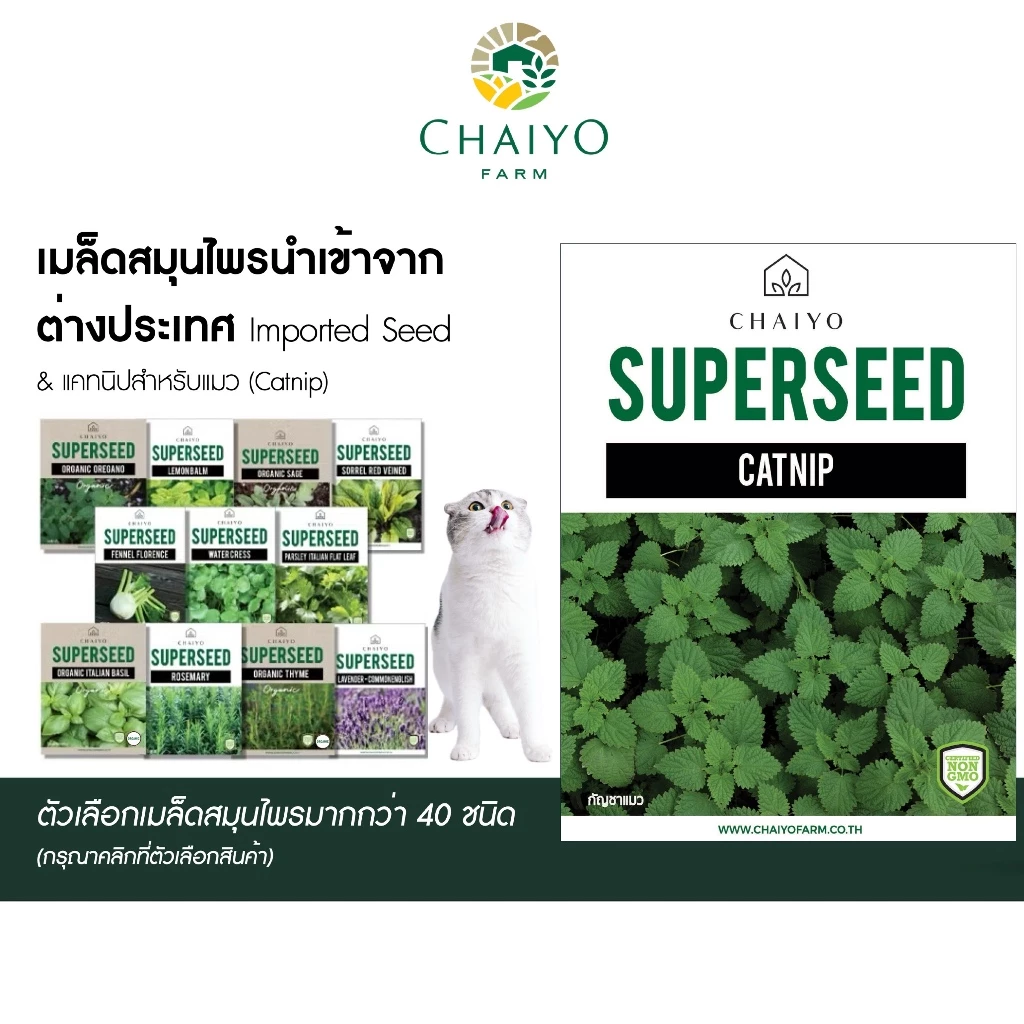 เมล็ด CATNIP และ เมล็ดสมุนไพรออร์แกนิค Herbs Seeds