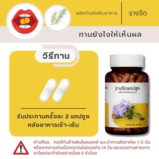 Puree Herb รางจืด แคปซูล ภูรีเฮิร์บ 1 ขวด 60 แคปซูล ดื่มหนัก เมา เมาค้าง สุรา ร้อนใน ภูรี เฮิร์บ