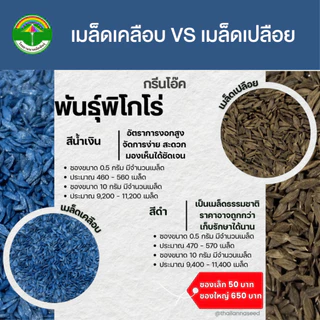 เมล็ดพันธุ์ผักสลัด กรีนโอ๊ค พันธุ์พิโกโร่ (ฟินิกซ์) ( ขนาด 0.5 กรัม ) ( เมล็ดเคลือบ ) รหัสสินค้า SSC 1003