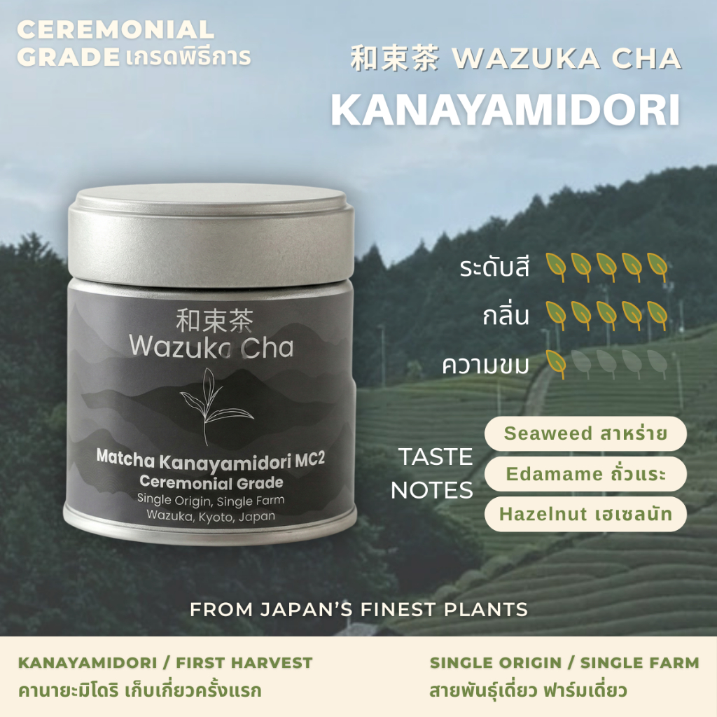 Matcha Kanayamidori [Ceremonial Grade] ผงมัทฉะญี่ปุ่น เกรดพิธีการ 30 / 100g
