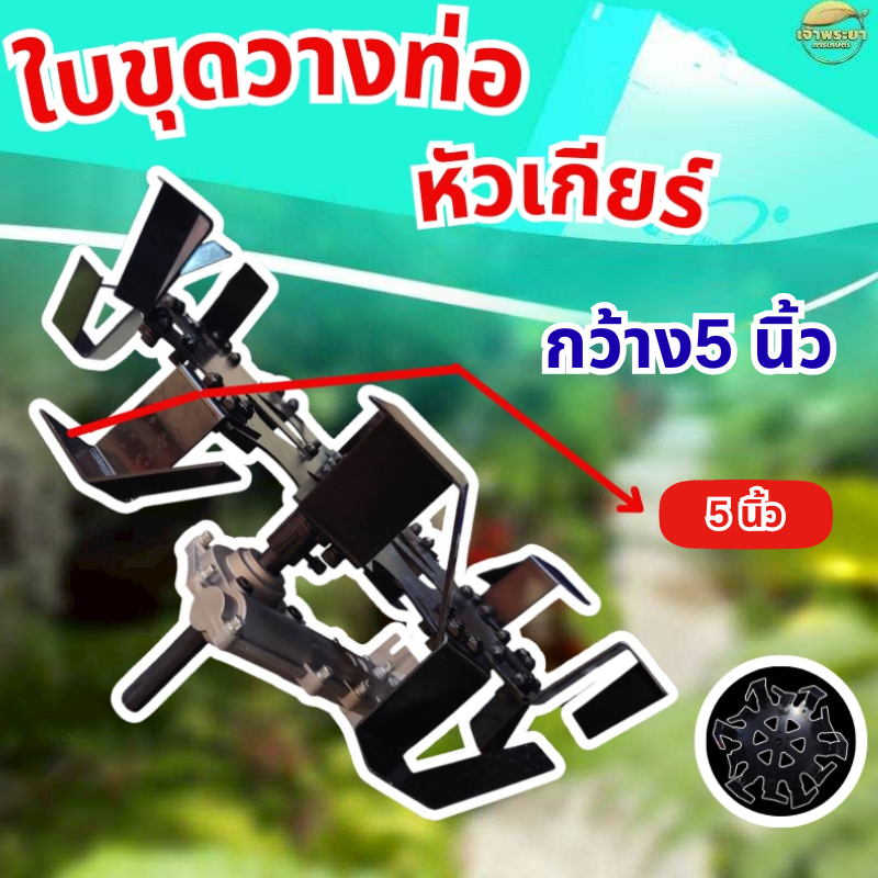 Thumbnail 8