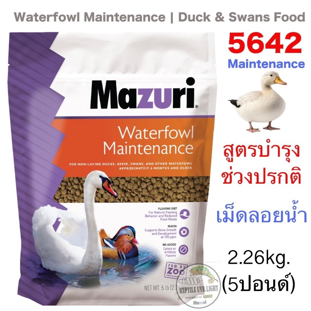 Mazuri®5641 Waterfowl Starter food สูตรสตาร์ทเตอร์สำหรับ ลูกนกน้ำ ลูกเป็ด ลูกห่าน ลูกหงส์ ลูกนกเป็ดน้ำ