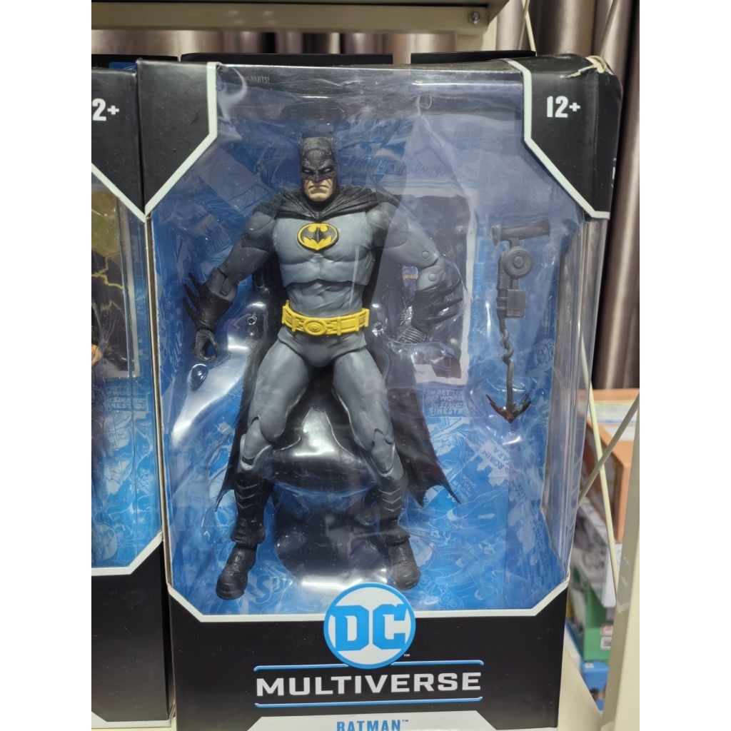 Batman multiverse​ dc