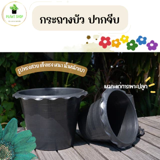 กระถางต้นไม้ กระถางบัว ปากจีบ สีดำ 10,12นิ้ว