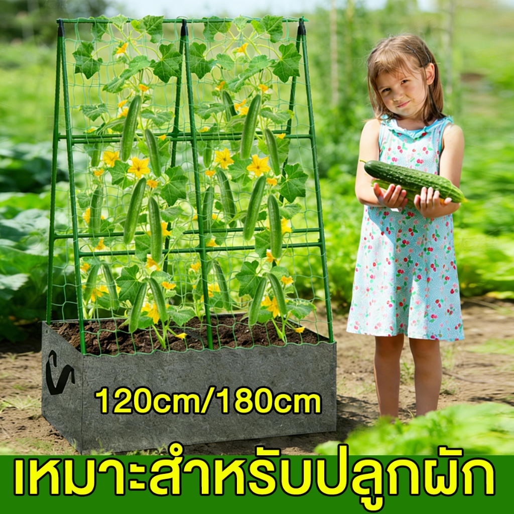ไม้ค้ำต้นไม้ DIY โครงปลูกผัก เหล็กเคลือบพลาส ซุ้มไม้เลื้อย ยาว120-180ซม. หนา11มม. ค้างต้นไม้ ค้างผัก