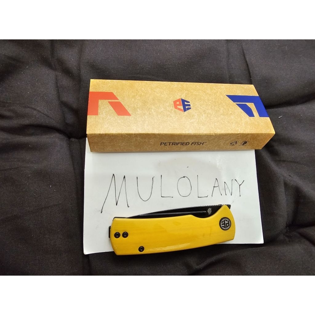 Petrified Fish (แท้) 14C28N 2.99 inch g10