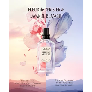 L’Occitane Fragrance Collection 50 ml. น้ำหอมที่ได้รับแรงบันดาลใจจากเมืองโพรวองซ์