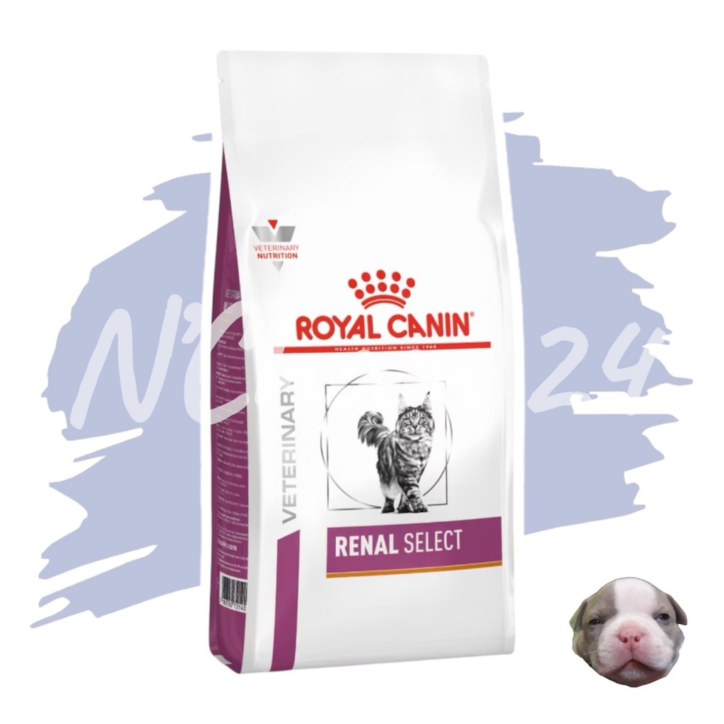 Royal Canin Renal Select Feline ขนาด 2 และ 4 กิโลกรัม อาหารแมว โรคไต ซีเล็ค เม็ดสอดไส้