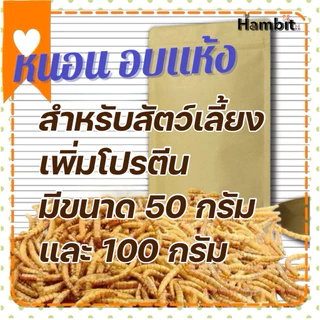 Hambit หนอนอบแห้ง เสริมโปรตีน อาหารเสริมสัตว์เลี้ยงทุกชนิด