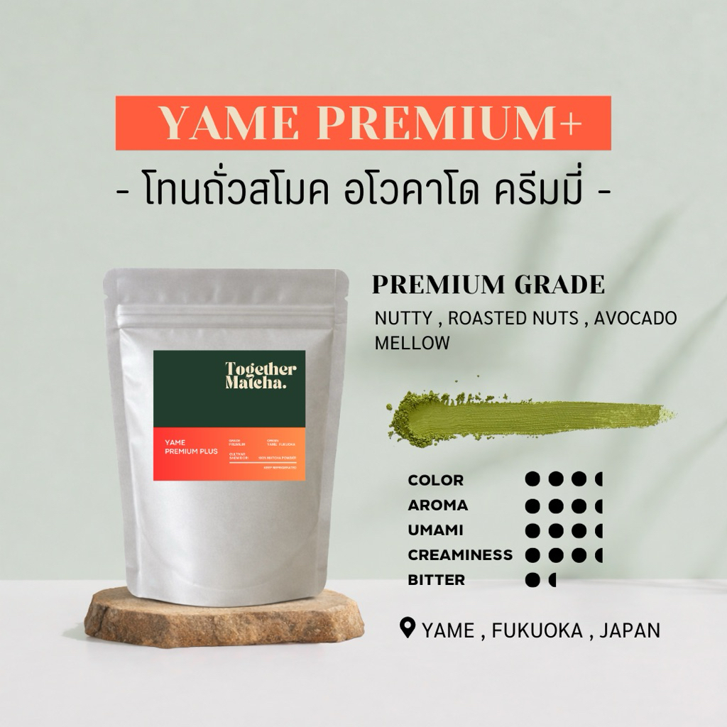 YAME MATCHA โทนถั่วสโมค อโวคาโด ครีมมี่ | เกรด Premium มัทฉะแท้ 100% จากเมืองยาเมะ ญี่ปุ่น Together 