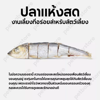 ขนมแมว ปลาแมว ขนมหมา โปรตีนสูง ไม่เค็ม ขนาด ปลอดภัยต่อไต สดใหม่ทุกวัน ไม่ใส่สารกันเสีย สุนัขก็ชอบทาน