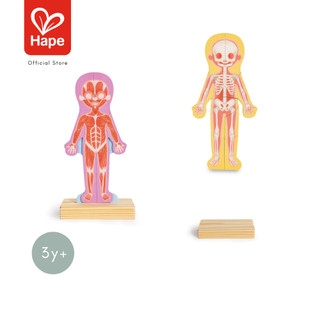 HAPE Human Body Magnetic Puzzle أحجية جسم الإنسان المغناطيسية 3Y+ صورة 7