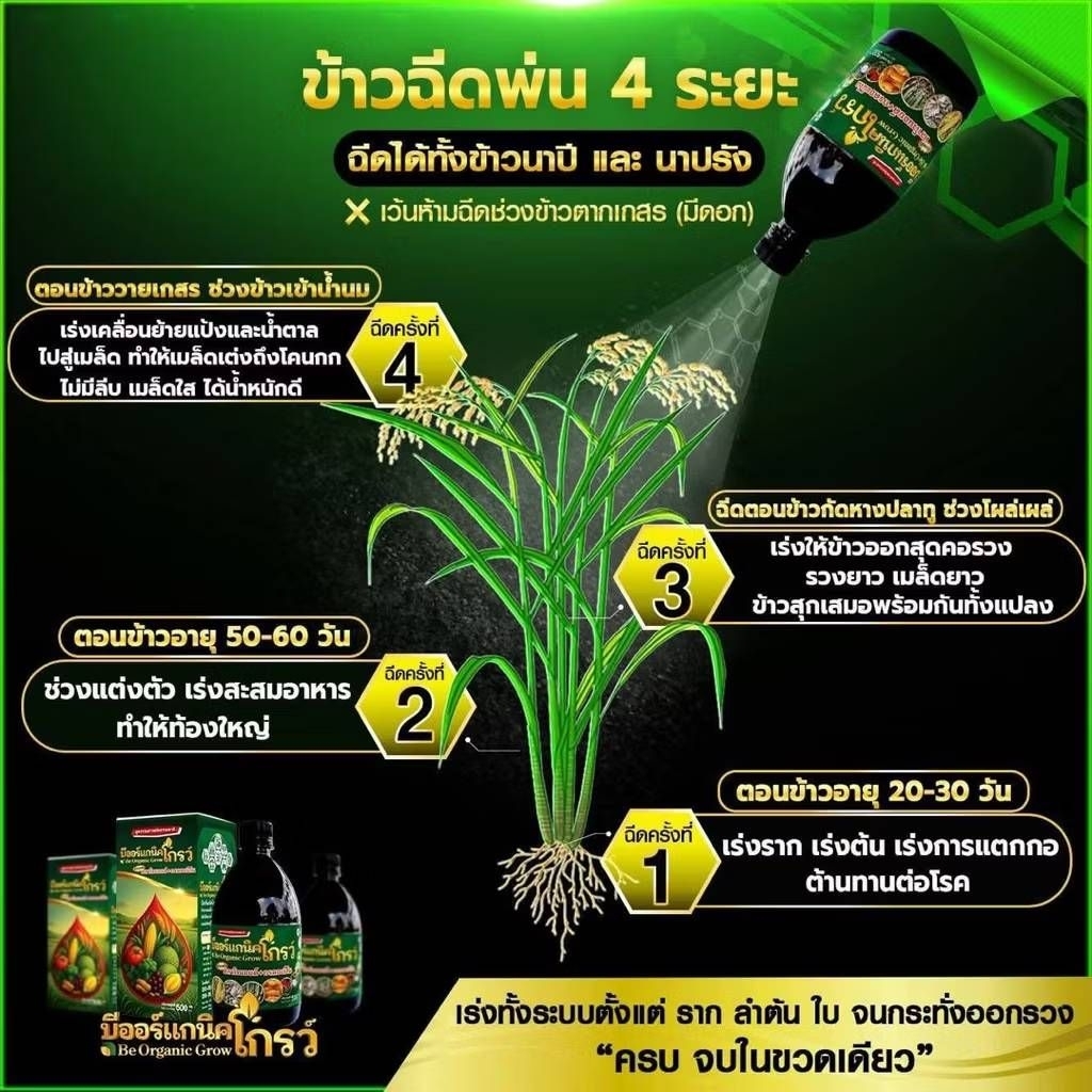 B-Organic Grow plus+1+1