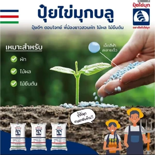 ปุ๋ยสูตร8-24-24/เรือใบไข่มุกบลู(แบ่งขาย) 1กิโลกรัม เร่งดอก ขยายผล เพิ่มรสชาติ