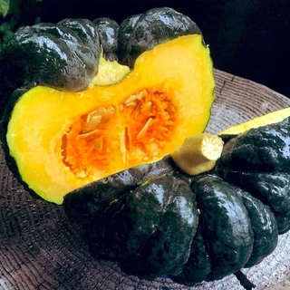【ซื้อ 5 แถม 5 ฟรี】เมล็ดพันธุ์ ฟักทองญี่ปุ่น ประมาณ 25 เมล็ด Japanese Pumpkin Seeds Vegetable Plants เมล็ดพันธุ์ผัก เมล็ด
