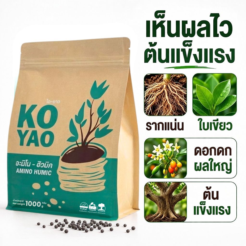 โกยาว KOYAO ฟื้นฟูต้นโทรม เร่งราก แก้ปัญหา พืชแคระแกร็น ขยายดอกดก เพิ่มผลผลิตพืชไร่ ผักสวนครัว ผลไม้