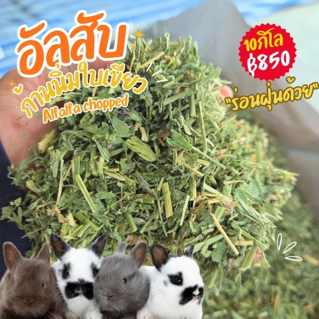 อัลฟาฟ่าสับถูกมาก 3 5 10 กิโลเขียวๆร่อนฝุ่นแล้ว