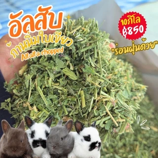 อัลฟาฟ่าสับถูกมาก 3 5 10 กิโลเขียวๆร่อนฝุ่นแล้ว