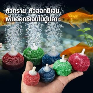 หัวทราย หัวทรายออกซิเจน หัวทรายชนิดหยาบ/ละเอียด เพิ่มออกซิเจนในตู้ปลา แบบคละสี มี5ขนาด (ราคาต่อ1ลูก)