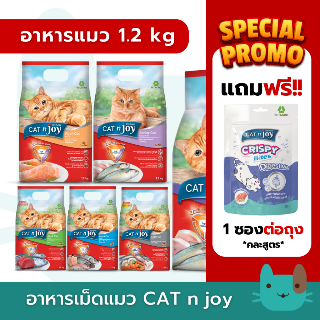 Cat n joy (1.2 kg) อาหารเม็ดแมวแคทเอ็นจอย Triple Protection  ขนาด 1.2 กิโลกรัม