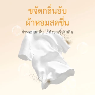 BOTARE น้ำยาซักผ้า 3L แพ็คเซต (ขวด 2500ml + ซอง 500ml) ฆ่าเชื้อไรฝุ่น! ทำความสะอาดลึกซึ้ง- สำหรับครอบครัวใหญ่ ซักสะดวก