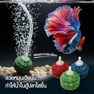 หัวทราย หัวทรายออกซิเจน หัวทรายชนิดหยาบ/ละเอียด เพิ่มออกซิเจนในตู้ปลา แบบคละสี มี5ขนาด (ราคาต่อ1ลูก)