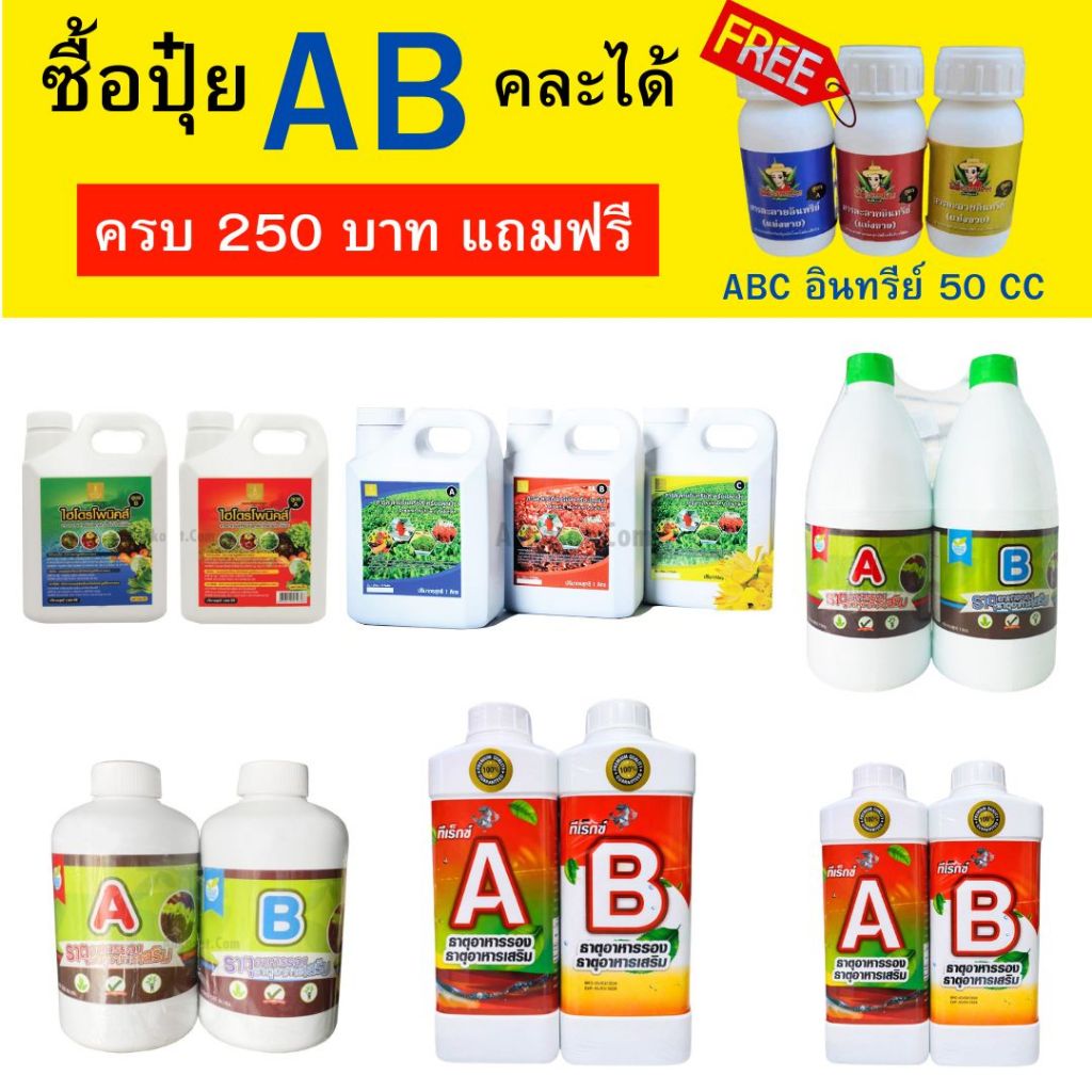 ปุ๋ย AB โครงการหลวง ไฮโดรฮอบบี้ ซื้อ 250 บาท ขึ้นไป แถมฟรี ปุ๋ย ABC อินทรีย์ ขนาด 50 ML 1 เซ็ท 3 ขวด