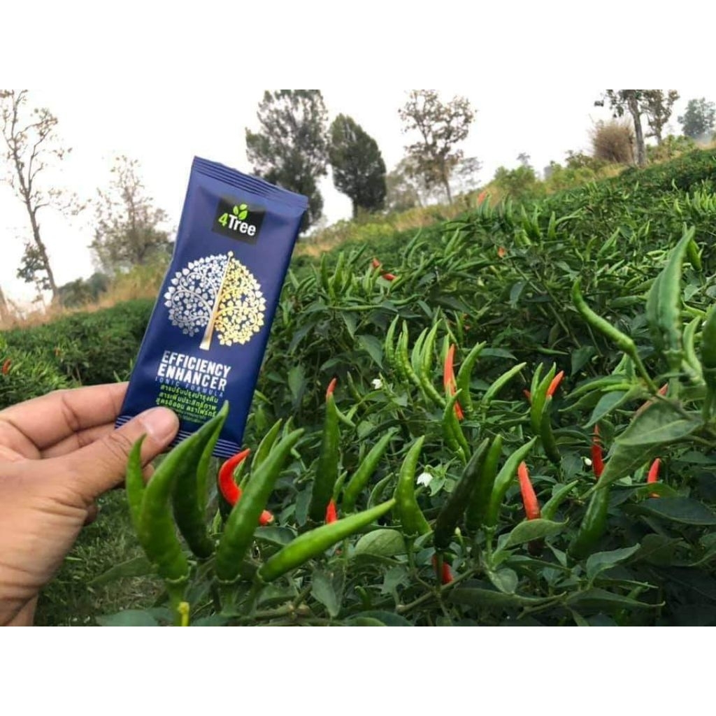 โฟร์ทรี 4Tree สารเพิ่มประสิทธิภาพพืช