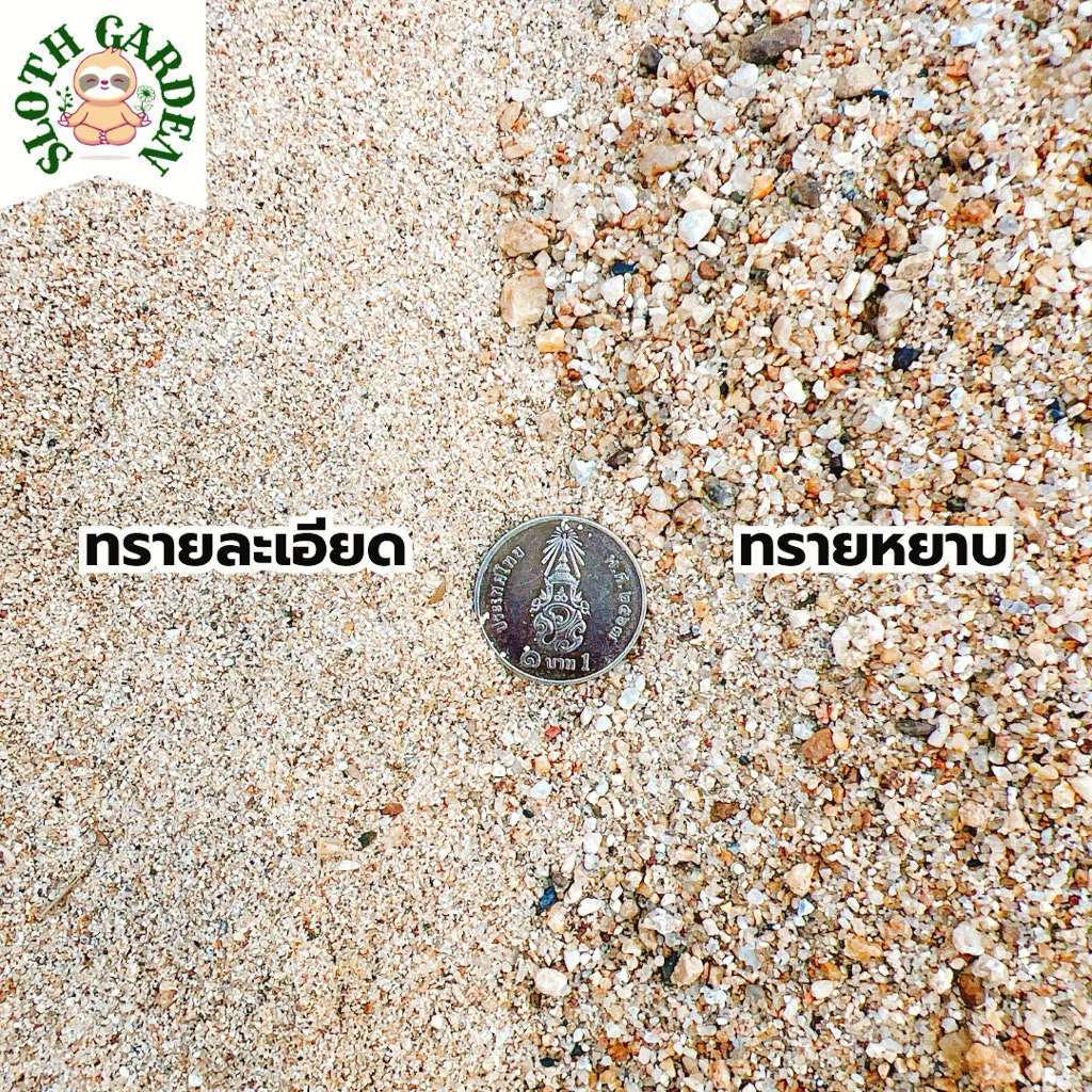 [ส่งเร็ว] ทรายแม่น้ำปิงแท้ 100% ทรายสีทองธรรมชาติ เม็ดมนไม่คม สำหรับตู้ปลา แคคตัส จัดสวนถาด ไม้ประดับ thumbnail 3