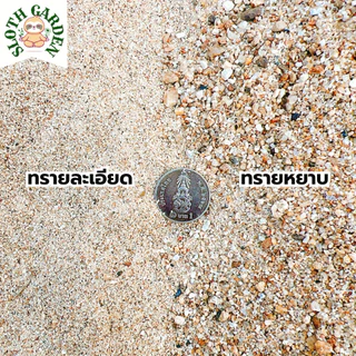 [ส่งเร็ว] ทรายแม่น้ำปิงแท้ 100% ทรายสีทองธรรมชาติ ล้างสะอาด เม็ดมนไม่คม สำหรับตู้ปลา แคคตัส จัดสวนถาด ไม้ประดับ