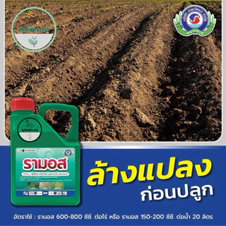 รามอส (Ramos) ขนาด 4ลิตร สารป้องกันกำจัดวัชพืช (1ลังX6 แกลลอน) By พูนณรงค์