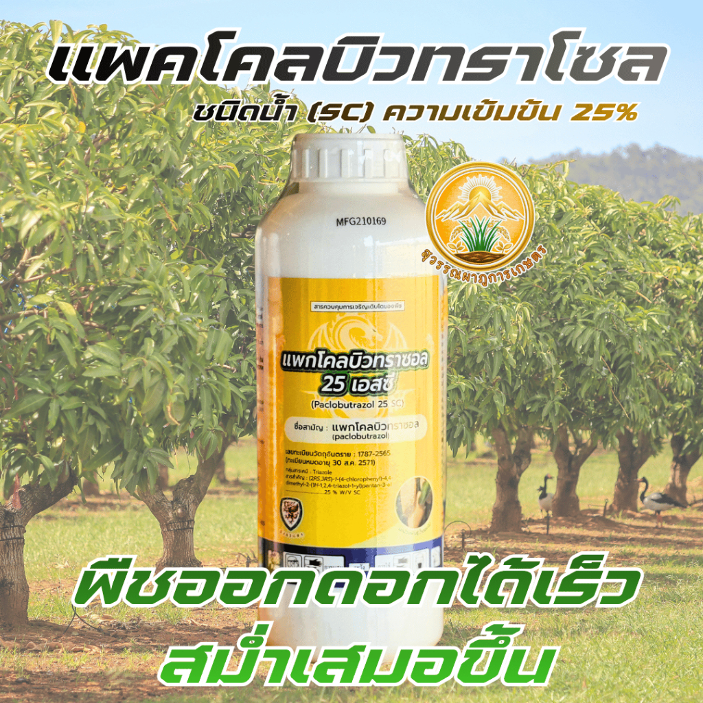 สารทำดอกนอกฤดู แพคโคลบิวทราโชล25%1ลิตร(1ขวด) ทุเรียน มะม่วง มะนาว