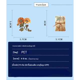 [พร้อมส่ง] 650+ แบบ PET สติกเกอร์ DIY ขอบใส ดอกไม้ ใบไม้แห้ง คลาสสิค หลายแบบ ใช้ตกแต่ง Dried Flower Leaf Sticker กันน้ำ