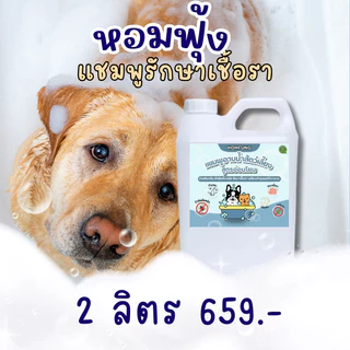 แชมพูสัตว์เลี้ยง กำจัดเห็บหมัด แก้ขี้เรื้อนสุนัข แมว เชื้อรา ยีสต์ สูตรอ่อนโยน แชมพูอาบน้ำสัตว์ บำรุงขนเงางาม หอมฟุ้ง