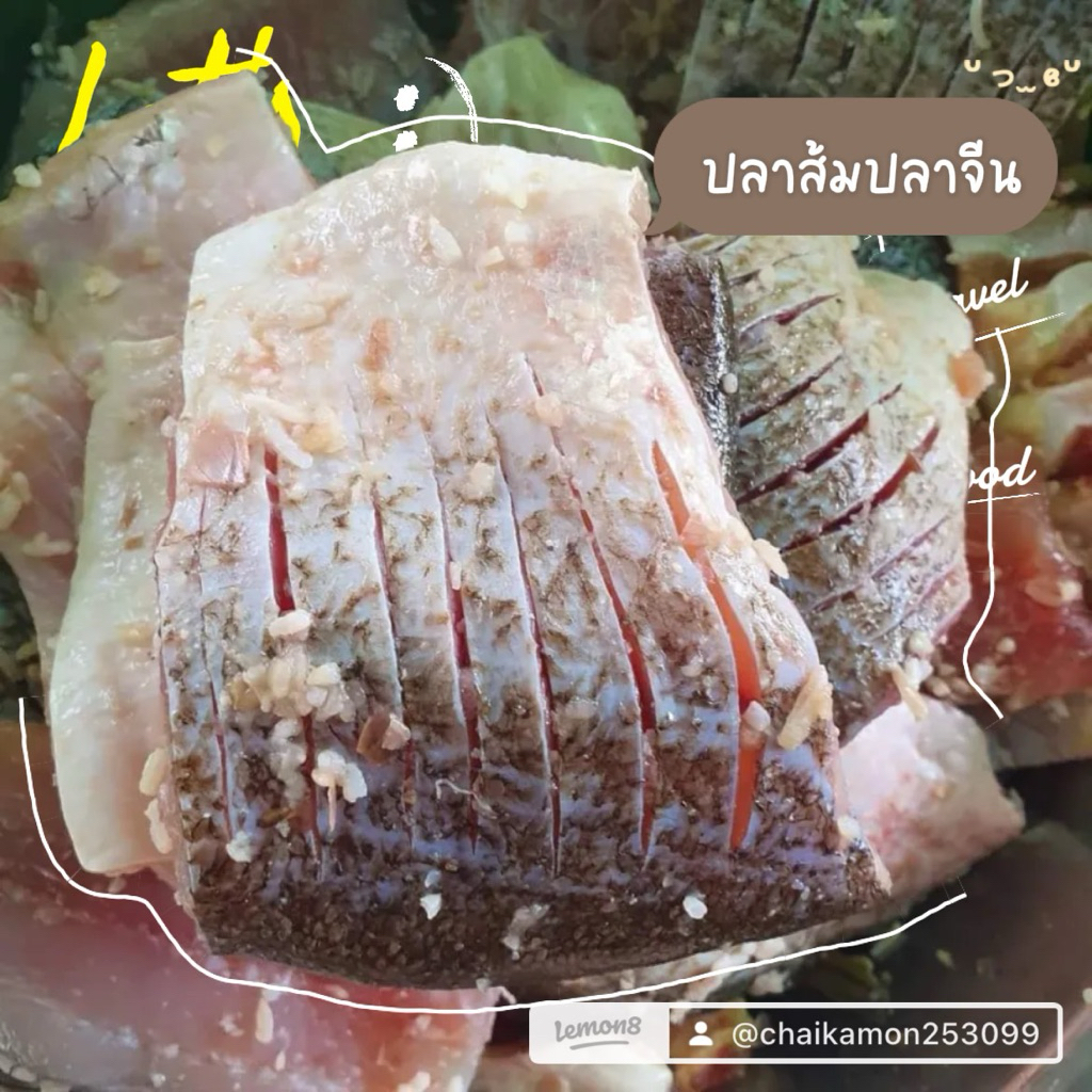 ปลาส้มปลาจีน ( 500 กรัม 2-3 ชิ้นใหญ่ ) เปรี้ยวกำลังดี ทอดอร่อย ทำสดใหม่ทุกวัน สะอาดปลอดภัย✅ ราคา ถูกที่สุด ดีลบีเคเค รูปภาพหลัก