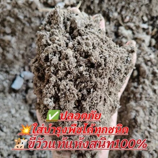 ปุ๋ยมูลวัวแท้ 100% จากธรรมชาติไร้กลิ่นคุณภาพสูง 🐄ช่วยปรับปรุงดินพืชโตไวแข็งแรง( ซื้อ 10 แถม 2 )โปรคุ้มๆ
