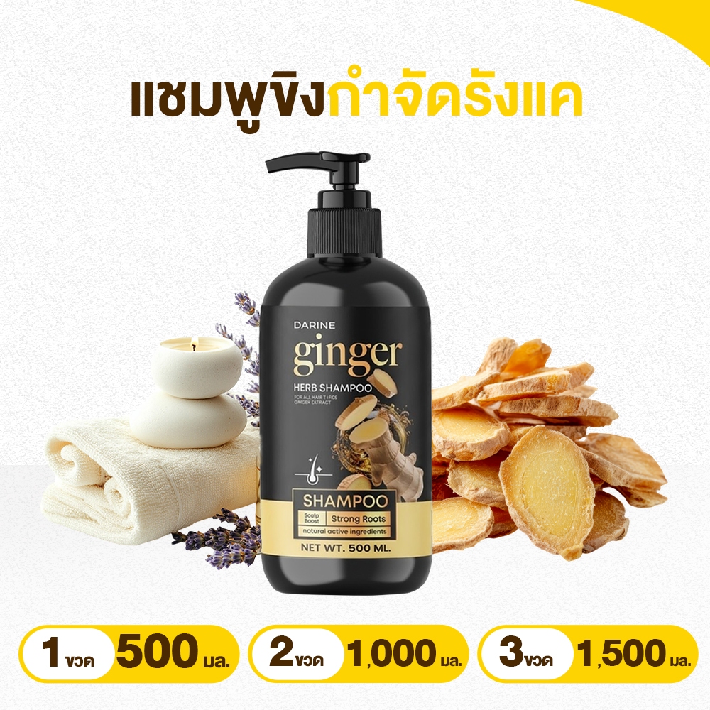 Napa แชมพูขิง กำจัดรังแค DARINE GINGER HERB SHAMPOO ขนาด 500 มล. หอมกลิ่นขิง ผมร่วงซ้ำซาก