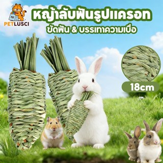 ขนมกระต่าย หญ้าลับฟันรูปแครอท ทําด้วยมือ ทอผ้า ขนมกระต่าย แก…