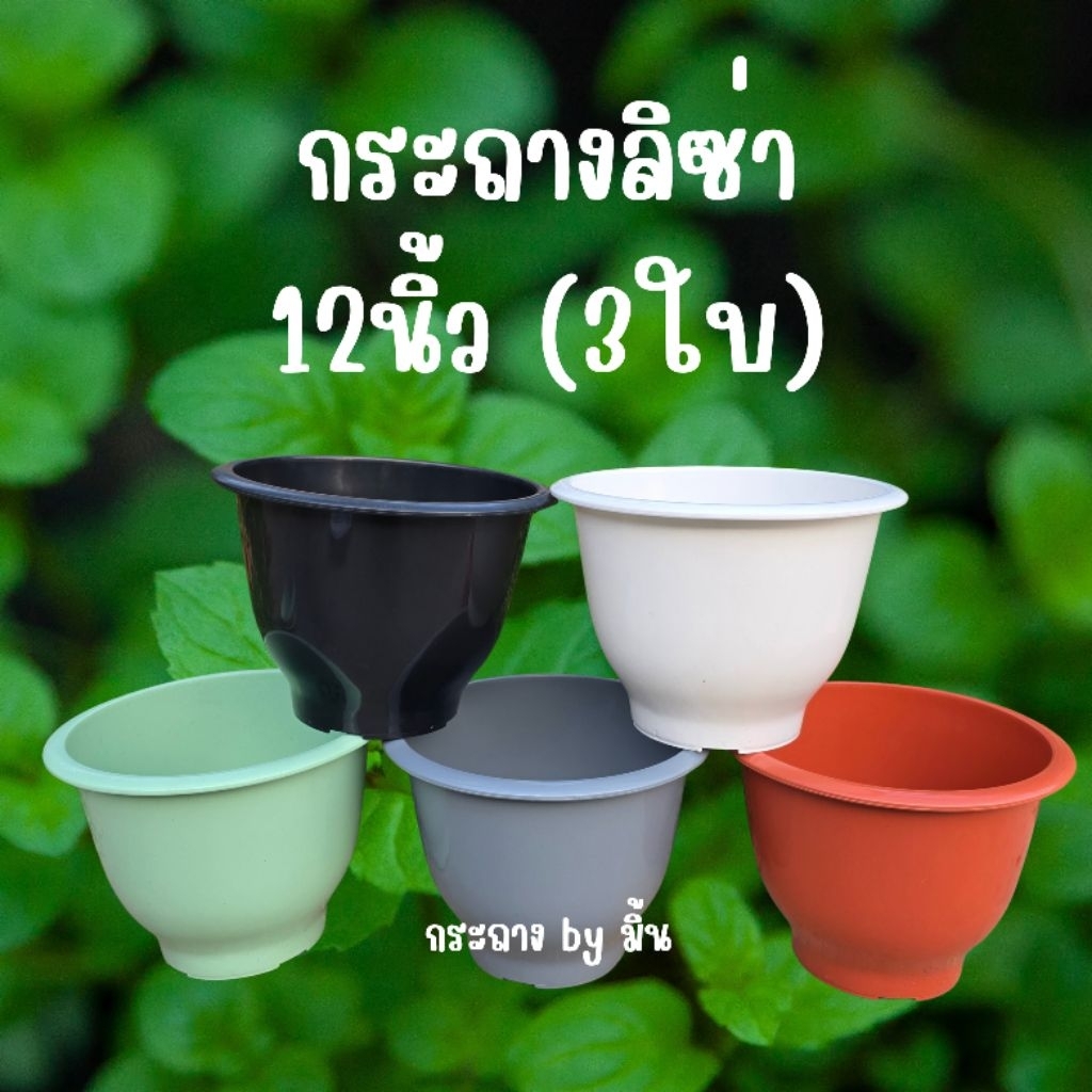 [3ใบ] กระถางลิซ่า 12 นิ้ว กระถางทรงสูง พลาสติกหนา สวย เรียบ มินิมอล