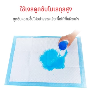 ซื้อ 1 แถม 1 Dog Pee Pad, การดูดซับสูง, ป้องกันแบคทีเรีย, Dog Pee Pad, แมว Pee Pad, แผ่นดูดซับ, สามารถใช้กับทรายแม