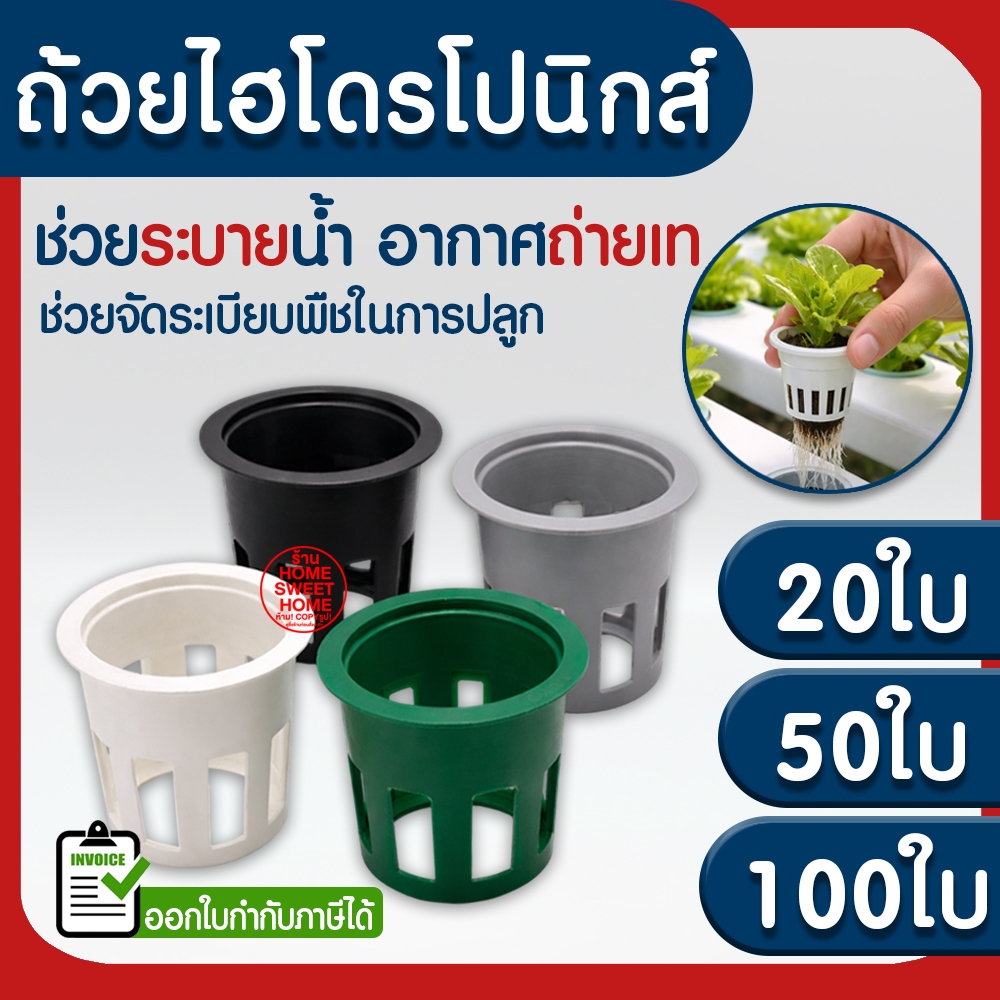 ถ้วยปลูกผักไฮโดรโปนิกส์ ถ้วยขาวปลูกผัก 50 ใบ (แบบใช้ซ้ำ) ผักไฮโดร ไฮโดร hydroponic hydro ส่งไวมาก หนา เหนียว clearance