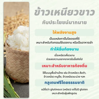 ข้าวเหนียวขาว 500 กรัม ตรา เสือบิน | Sticky Rice