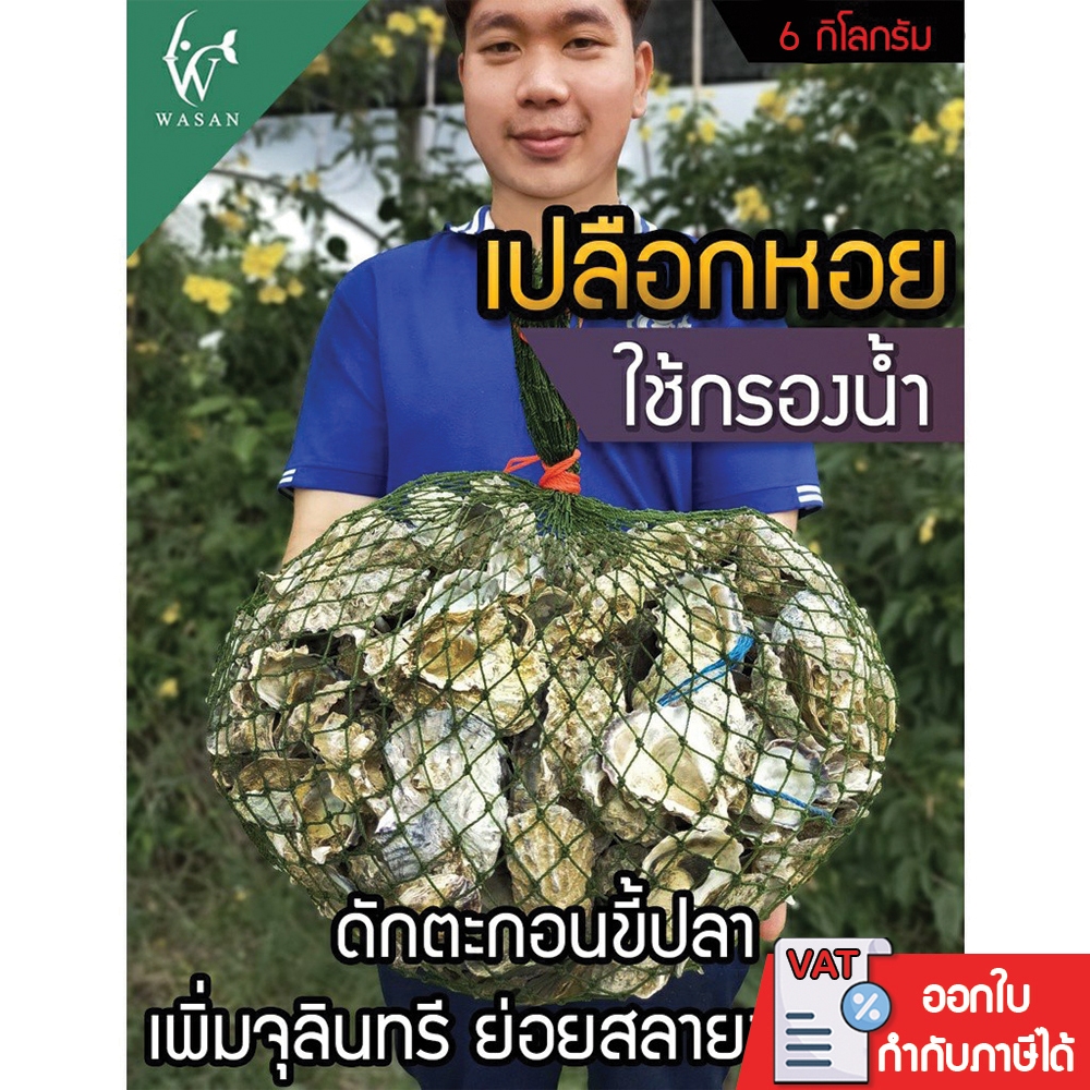 เปลือกหอยนางรม 6 kg.ใส่ถุงตาข่ายอวนเขียว พร้อมใช้งาน  BY วสันต์อุปกรณ์ปลาสวยงาม