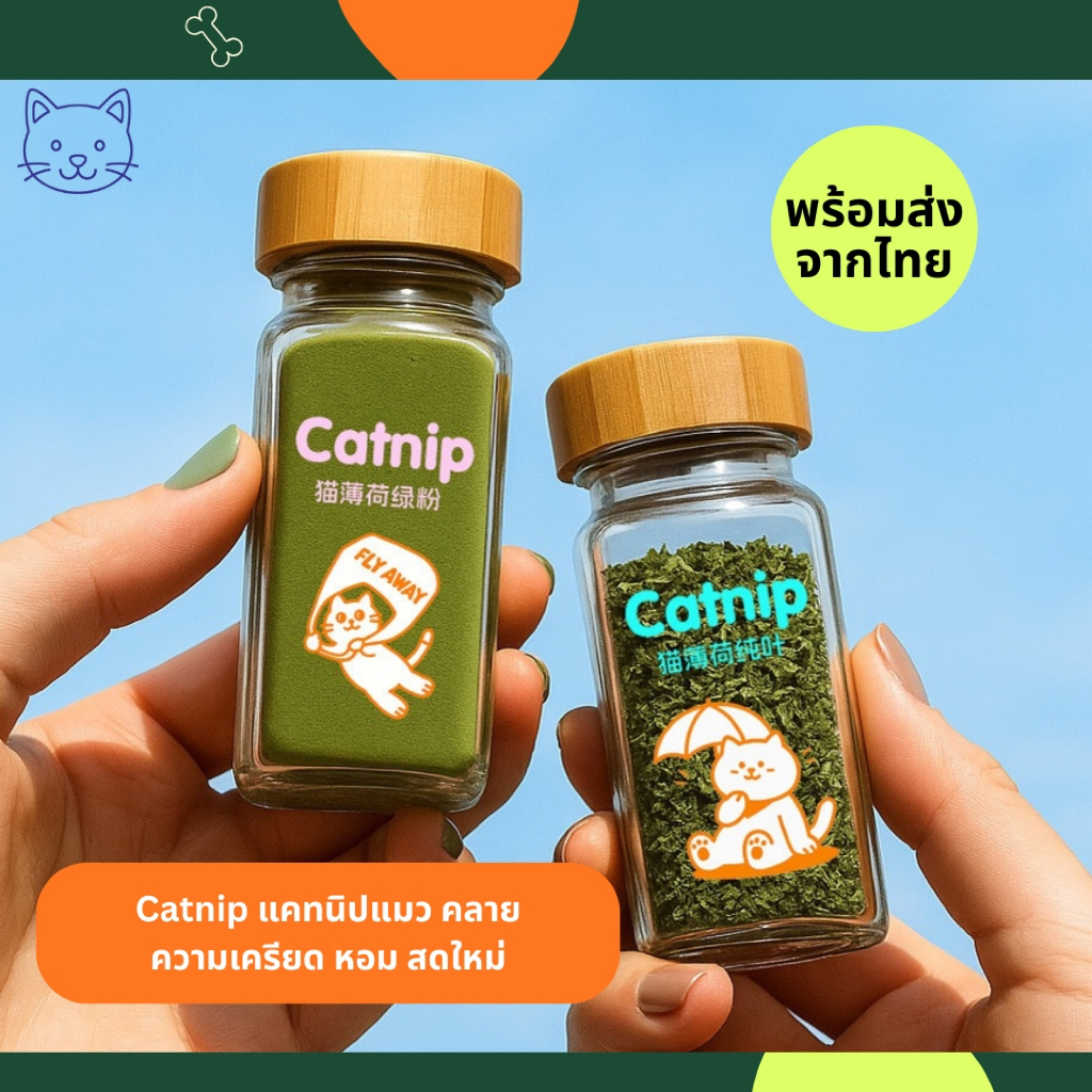 [พร้อมส่งจากไทย] Catnip แคทนิปแมว กัญชาแมว, ผงGall Fruit (มาตาตาบิ) คลายความเครียด หอม สดใหม่