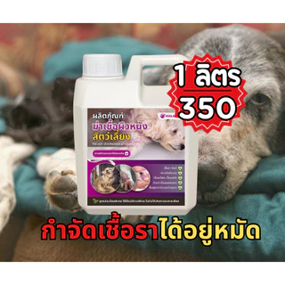 𝗠𝗔𝗟𝗔𝗗𝗜𝗘 สมุนไพรลดอาการคัน กำจัดเชื้อรา ตัวช่วยลดอาการคัน ลดขนร่วง หมาผิวหนัง แก้หมาขี้เรื้อน ปลอดภัยกับสัตว์เลี้ยง